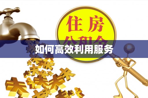 丰满如何高效利用服务