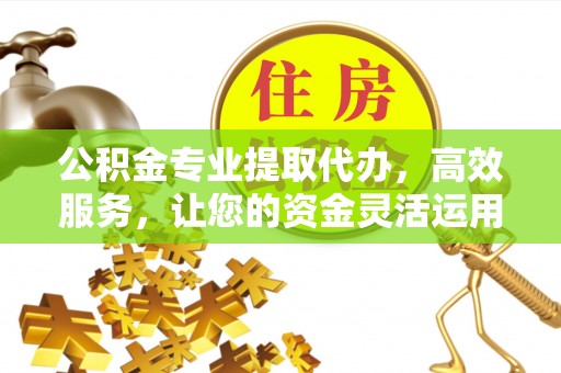 丰满公积金专业提取代办，高效服务，让您的资金灵活运用