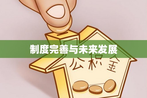 丰满制度完善与未来发展