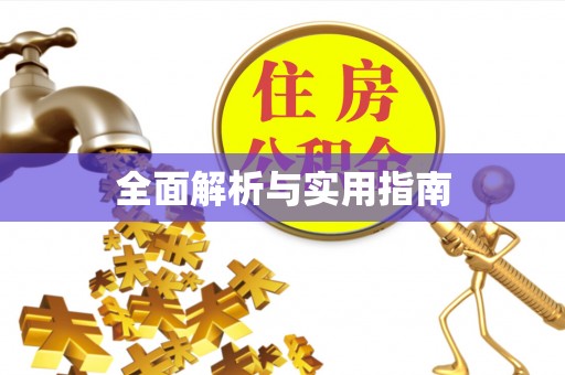 丰满全面解析与实用指南