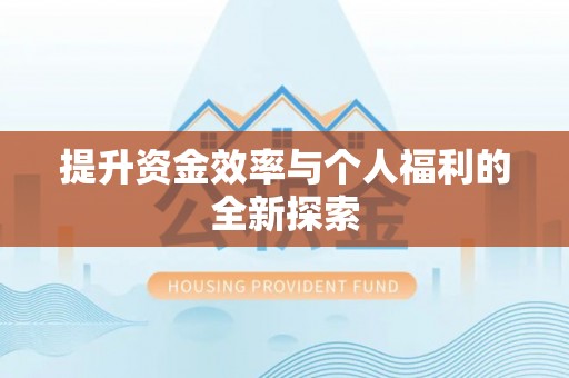 丰满提升资金效率与个人福利的全新探索