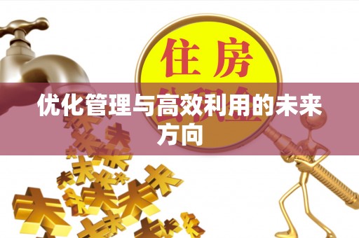丰满优化管理与高效利用的未来方向