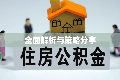 丰满全面解析与策略分享
