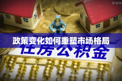 丰满政策变化如何重塑市场格局