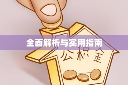 丰满全面解析与实用指南