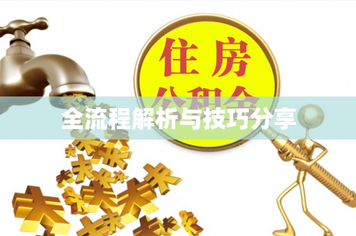 丰满全流程解析与技巧分享